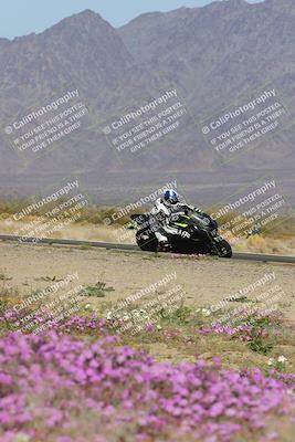 media/Feb-04-2023-SoCal Trackdays (Sat) [[8a776bf2c3]]/Turn 15 Inside Blooming (1050am)/